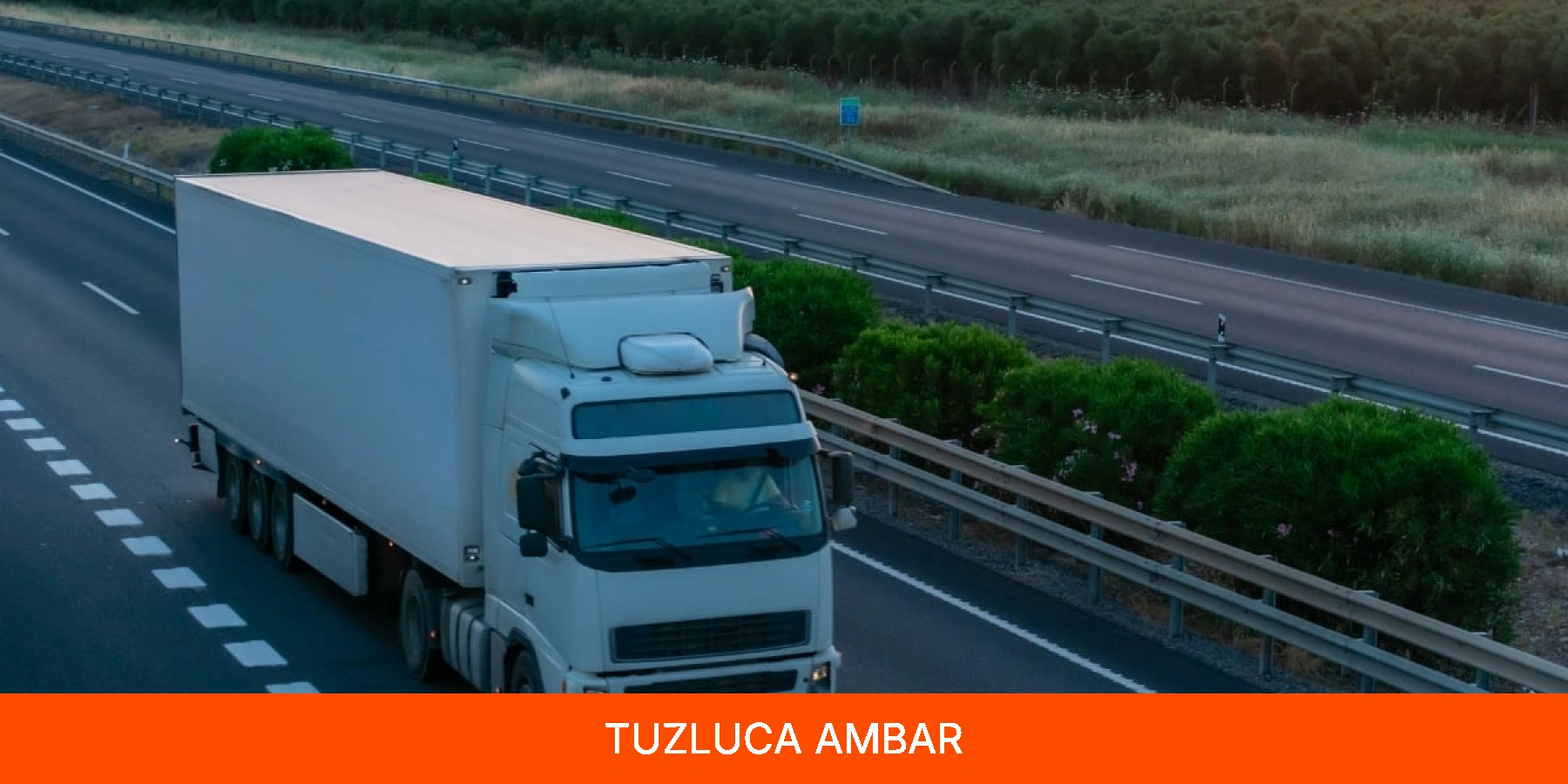 Tuzluca Ambar